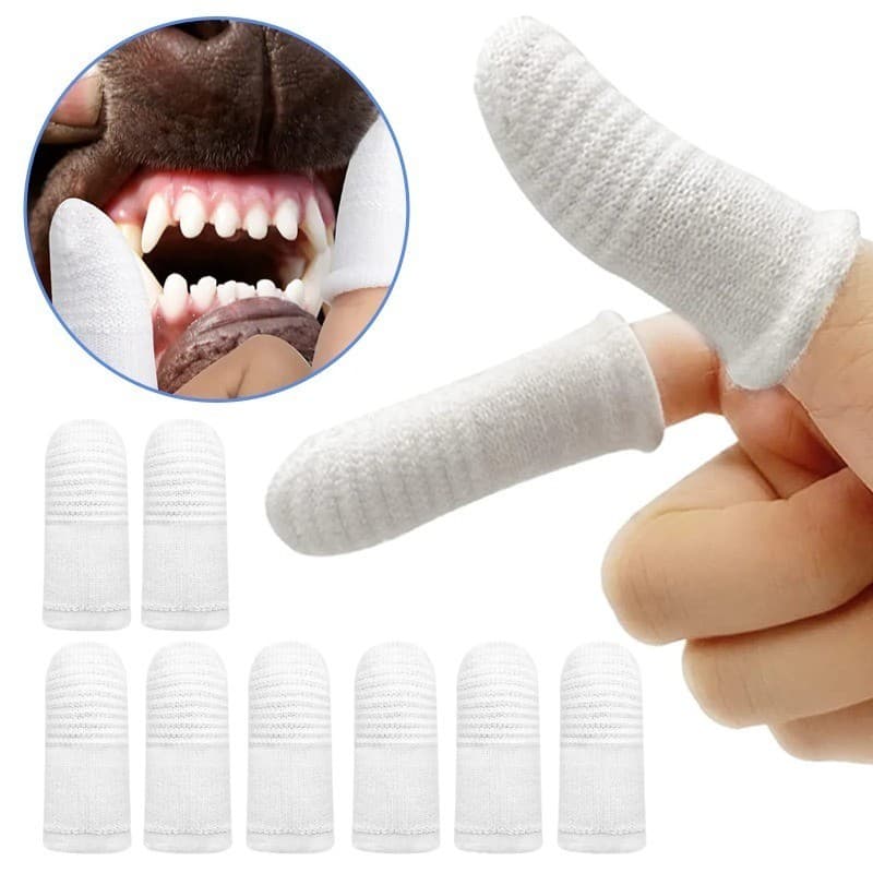 12pcs Escova De Dentes Para Cães , Animais Domésticos Limpeza Dos , Ferramenta De Cuidados Bucais