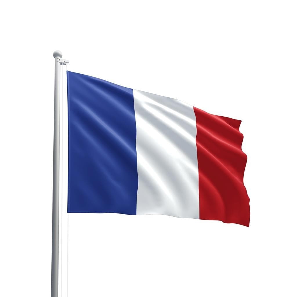 Bandeira Da França 140x80cm Em Oxford 100% Poliéster - Qualidade Premium