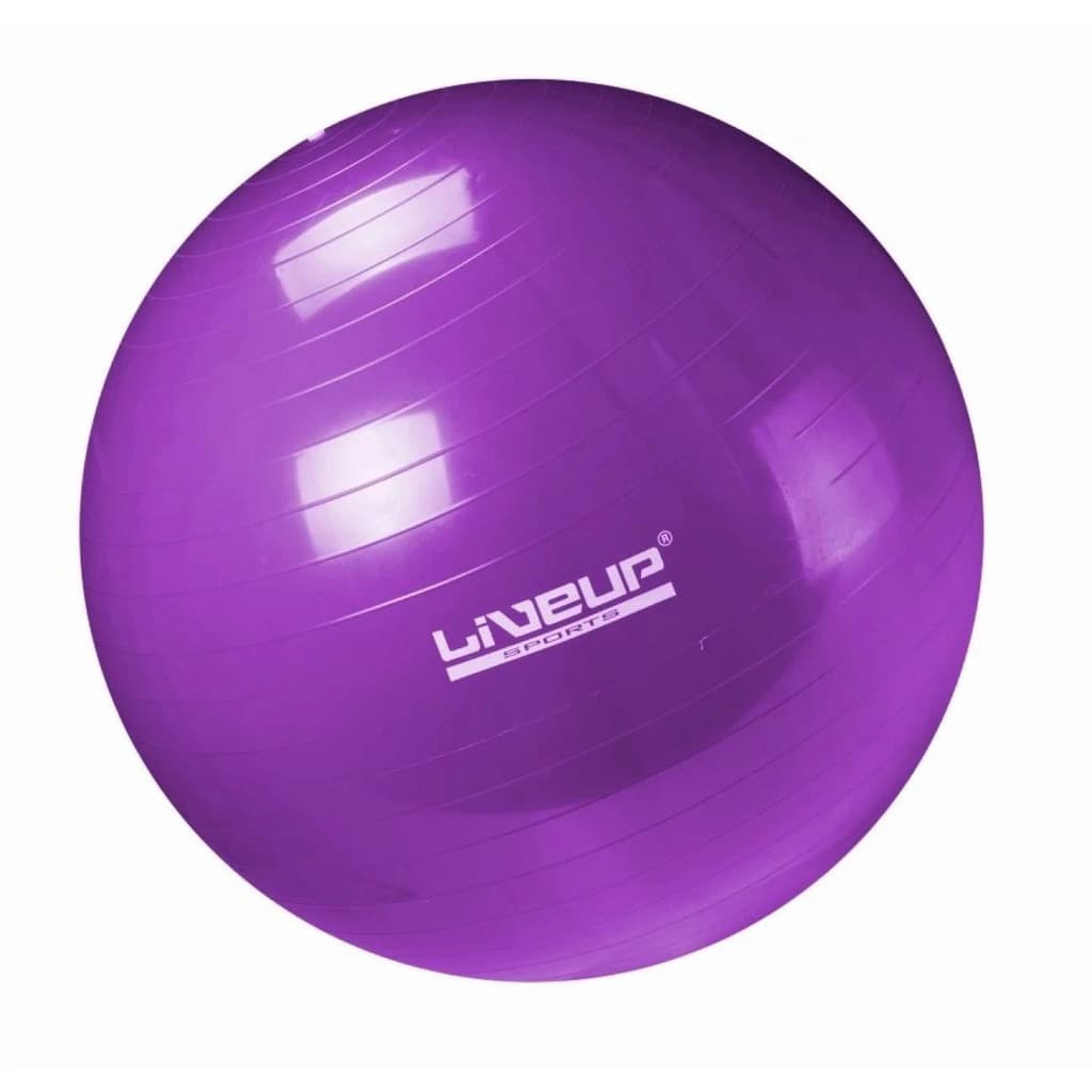 Bola Suiça Gym Ball Pilates e Fisioterapia 55cm Roxa Liveup