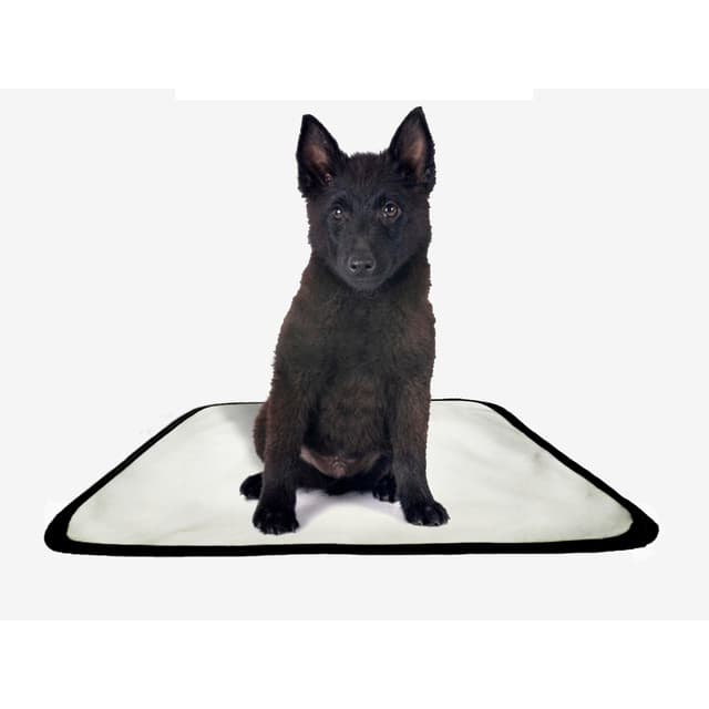 Tapete pet reutilizável educador dog oferta 7 un M 60x80cm