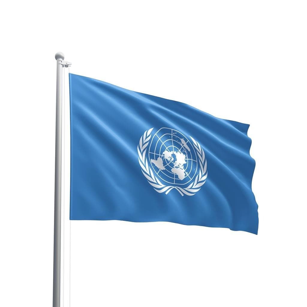 Bandeira Da ONU 140x80cm Em Oxford 100% Poliéster - Qualidade Premium