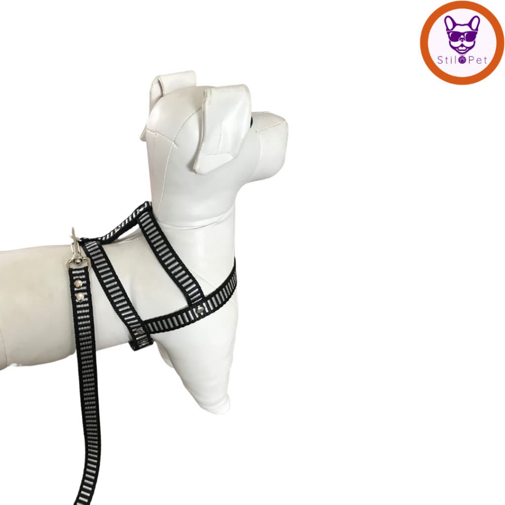 Coleira Peitoral para Cachorro | Guia Peitoral | Cachorro