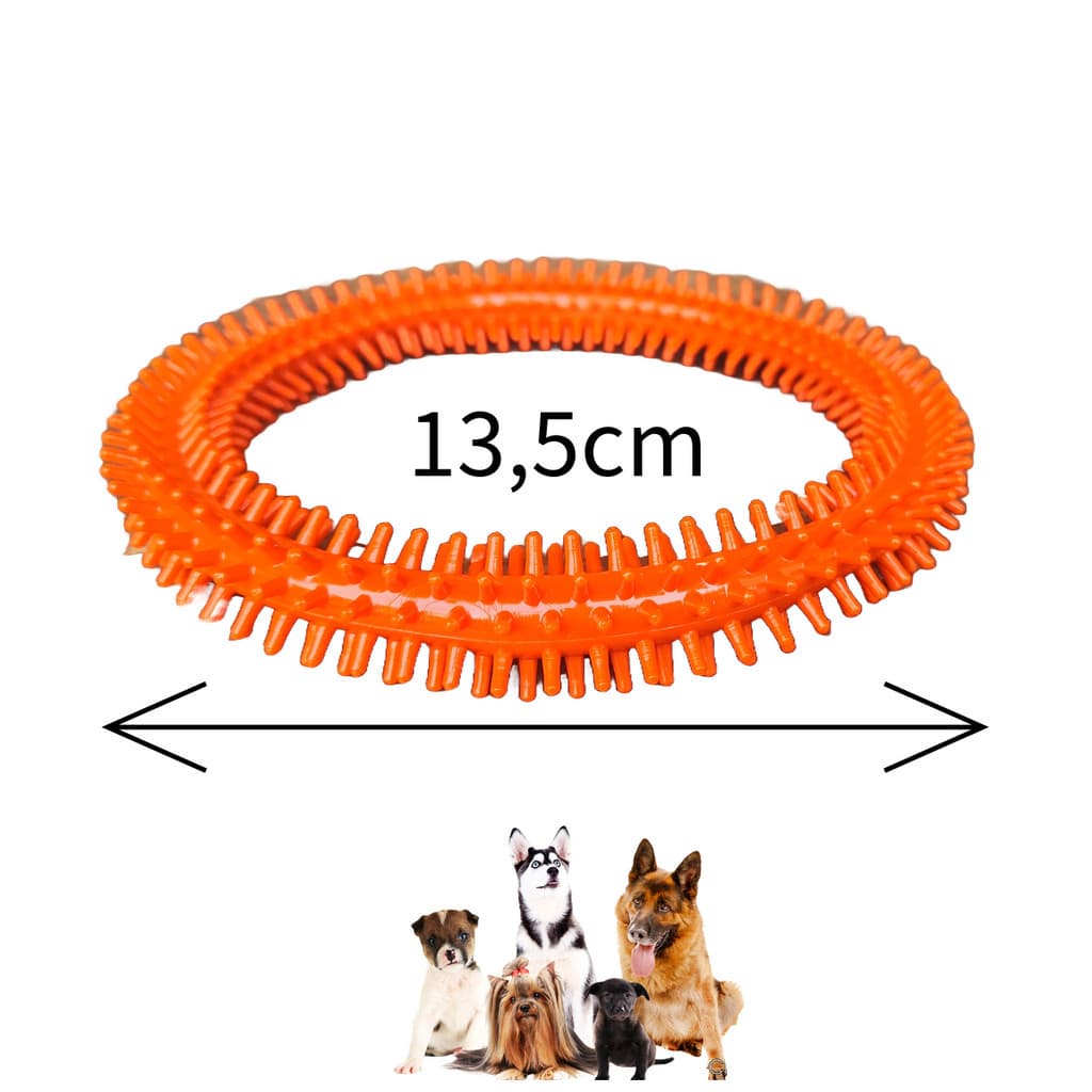 Brinquedo Mordedor Maciço Anemona G C/ Cravo Pet Toys Pet Teether