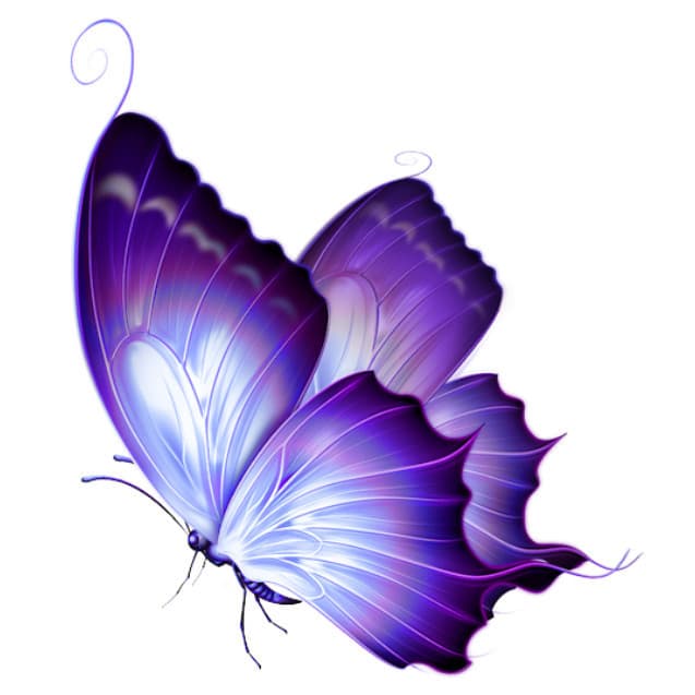 Borboleta lilas 4 display de mesa em mdf