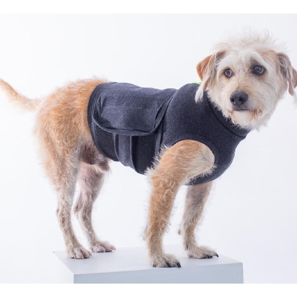 Colete Anti Stress Calm Pet Medo Fogos Viagens Veterinário