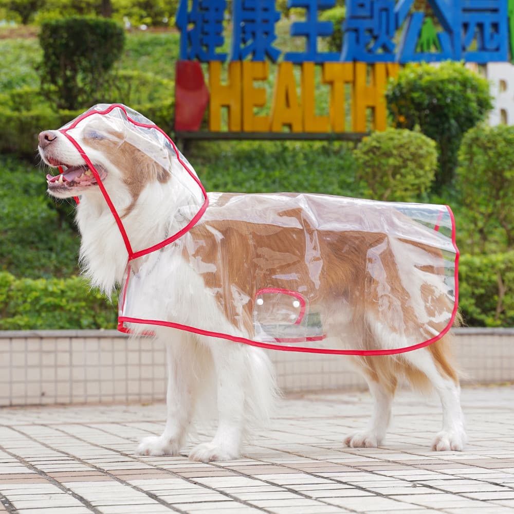 Capa De Chuva Grande Para Cães Transparente À Prova D'água Roupas Grandes Animais De Estimação Labrador Golden Rainwear