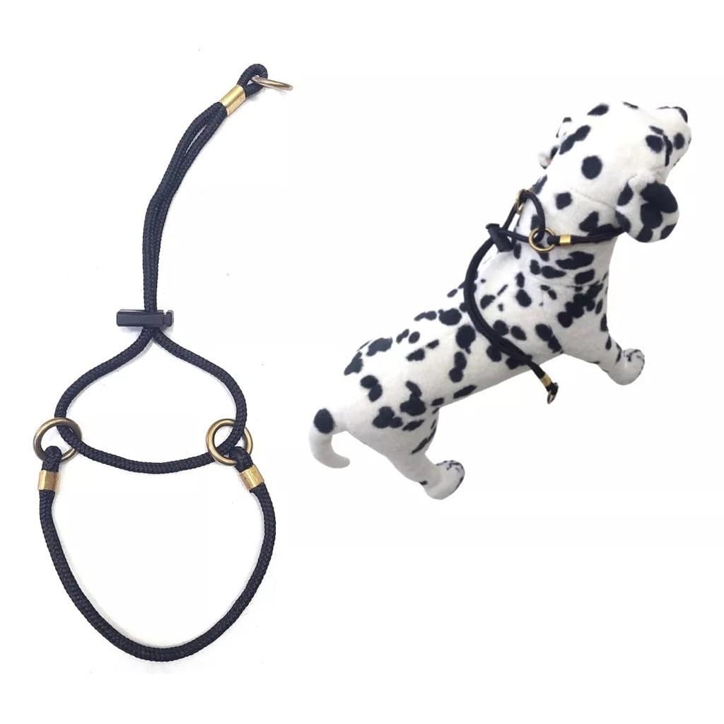 Coleira Belga Em Corda 6mm (estilo Prong Collar)
