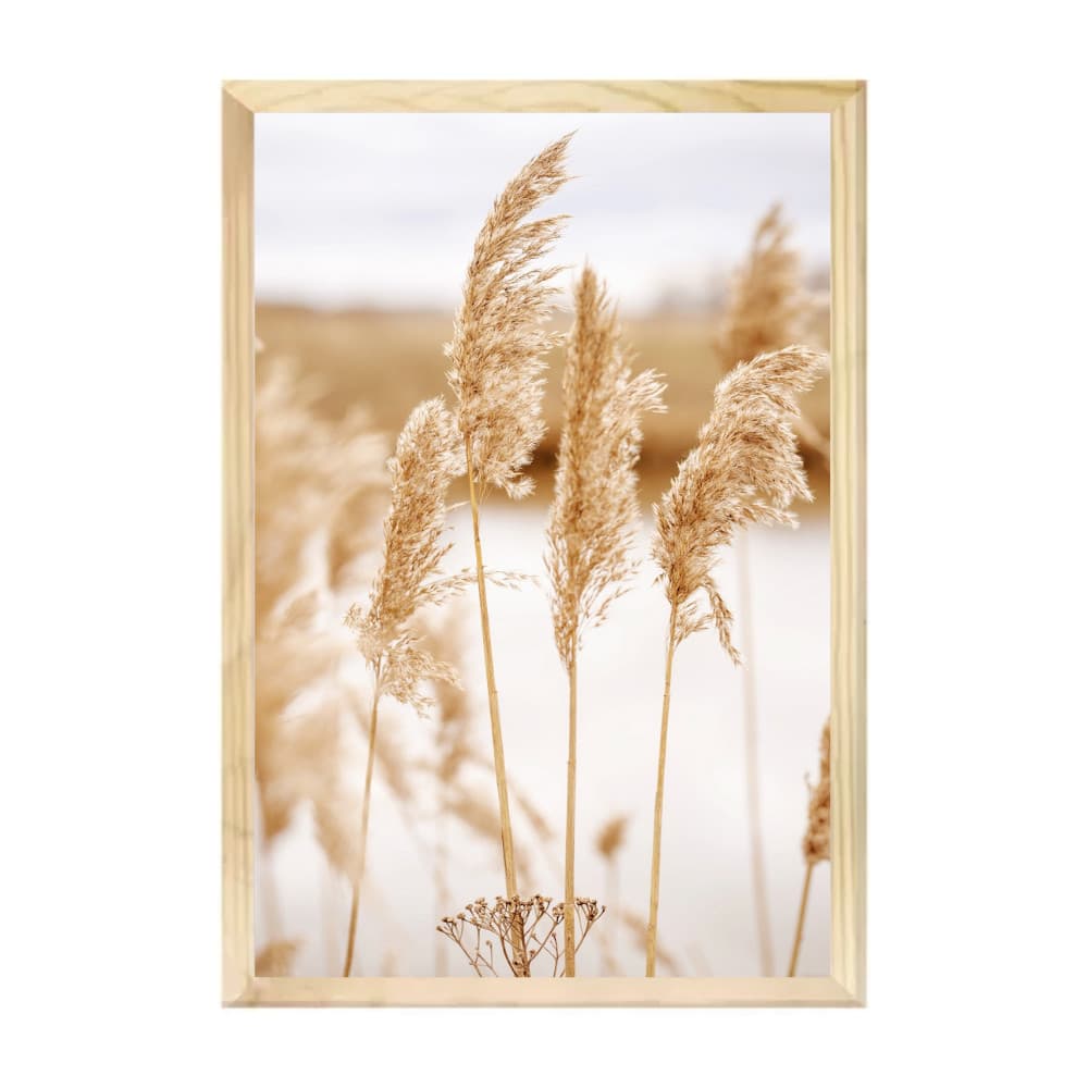 Quadro Unitário Trigo Minimalista Natureza para Sala Grande