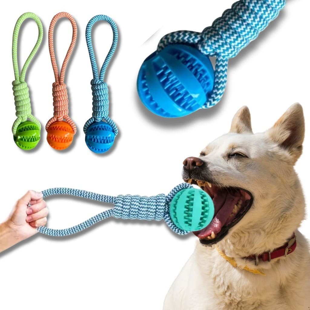 Brinquedo PET Com Corda Puxador Escova Mordedor Porta Petisco Bolinha