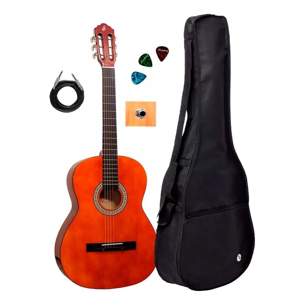 Violao Giannini Start S-14n C/captador+capa Cabo+ Paletas
