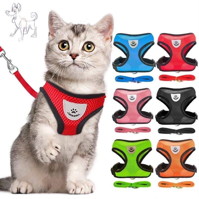 Guia Coleira de Malha Flexível com Colete Peitoral Ajustável para Cão Cachorro Gato Animais