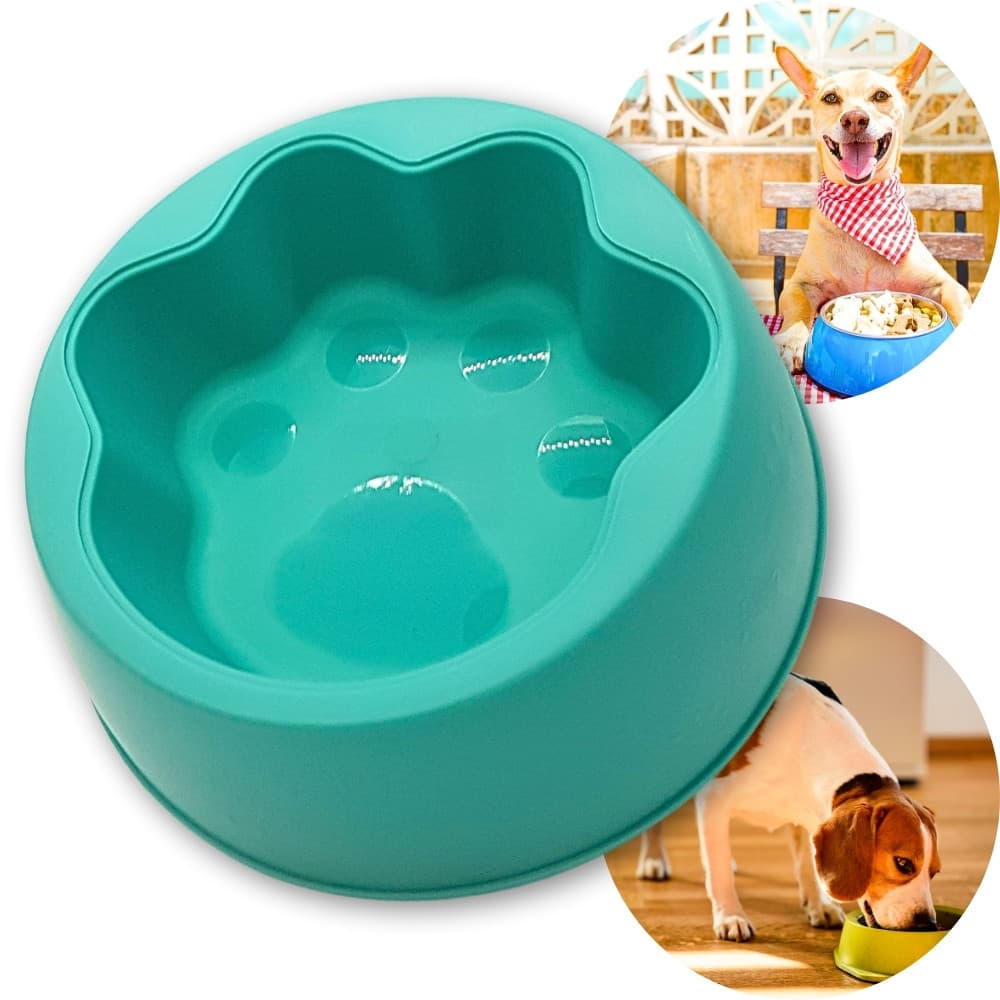 Comedouro Bebedouro para Pet Cachorro e Gato Patinha