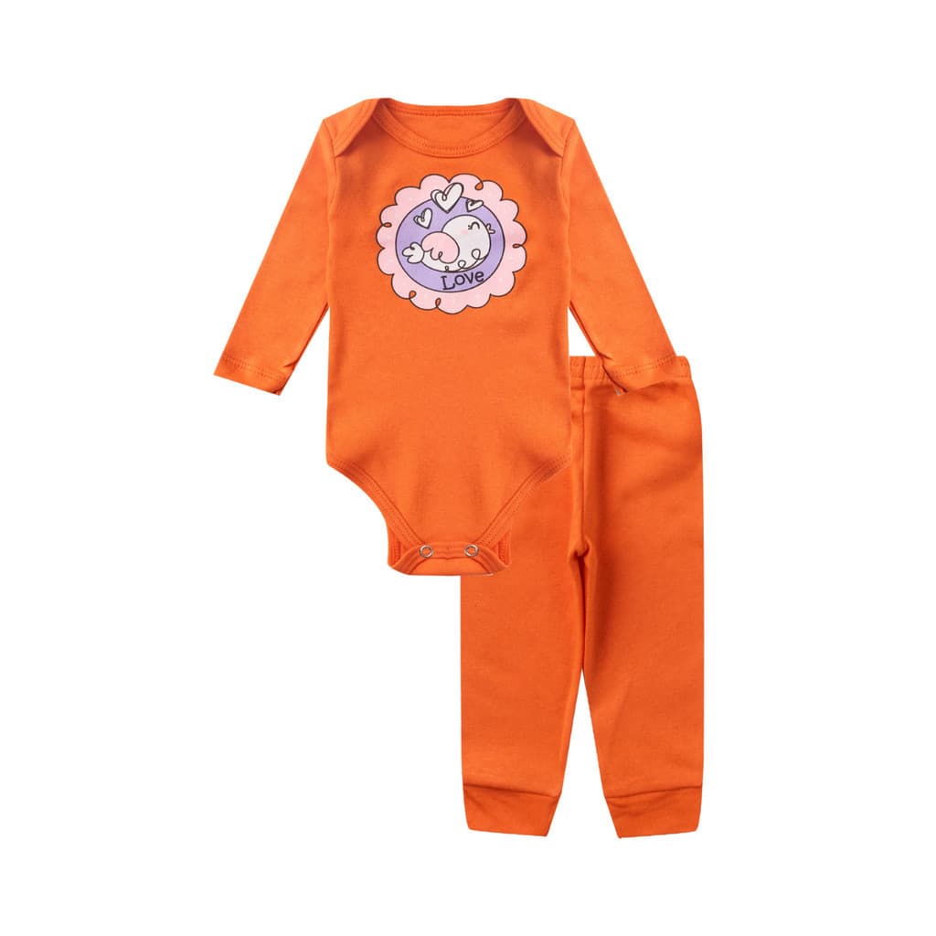 1 conjunto BEBÊ Menina Ou Menino BODY E MIJÃO Saída Maternidade ENXOVAL - 1510