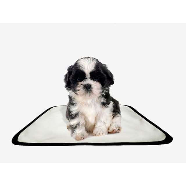 Tapete pet reutilizável educador dog oferta 1 un PP 40x50cm