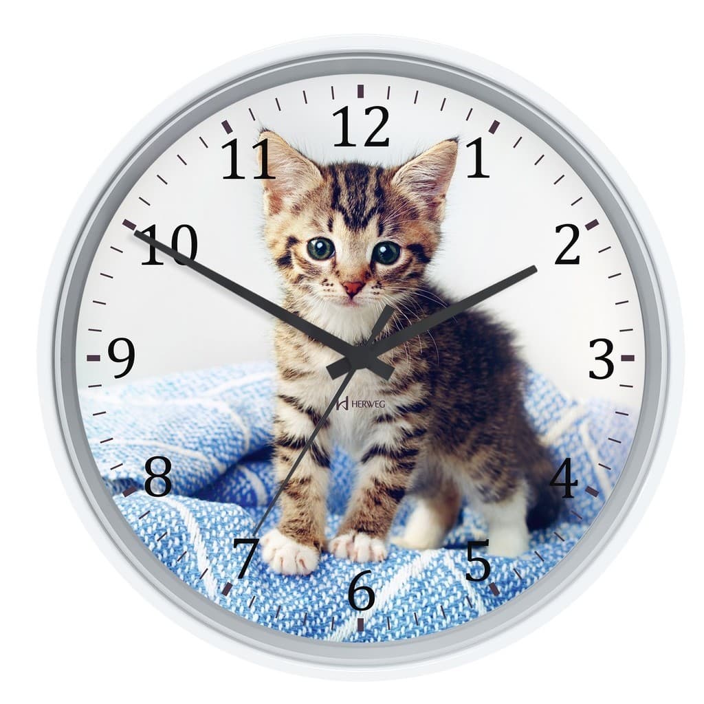 Relógio De Parede Decor Gatinho Herweg 22cm 660125 021 Branc