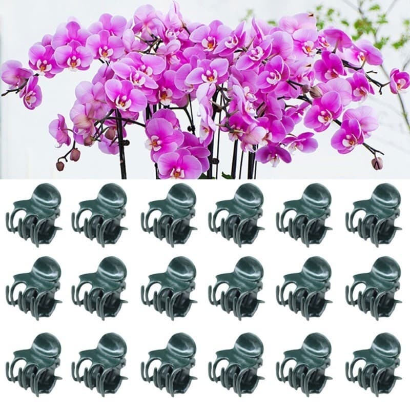 20 100 Unidades Clipes Orquídea Suporte Planta Para Haste