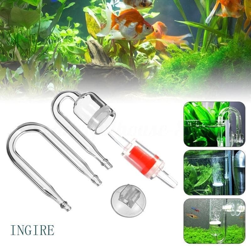 Difusor CO2 ING 4Pcs Para Vidro Transparente Aumentando A Saturação