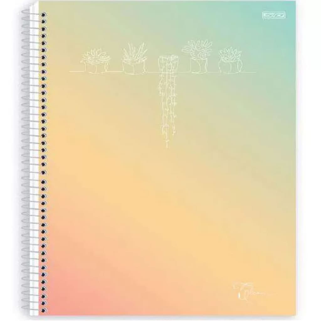 CADERNO ESPIRAL 1/4 CAPA DURA 80 FOLHAS CLEAN - SÃO DOMINGOS - UNITÁRIO E SORTIDO