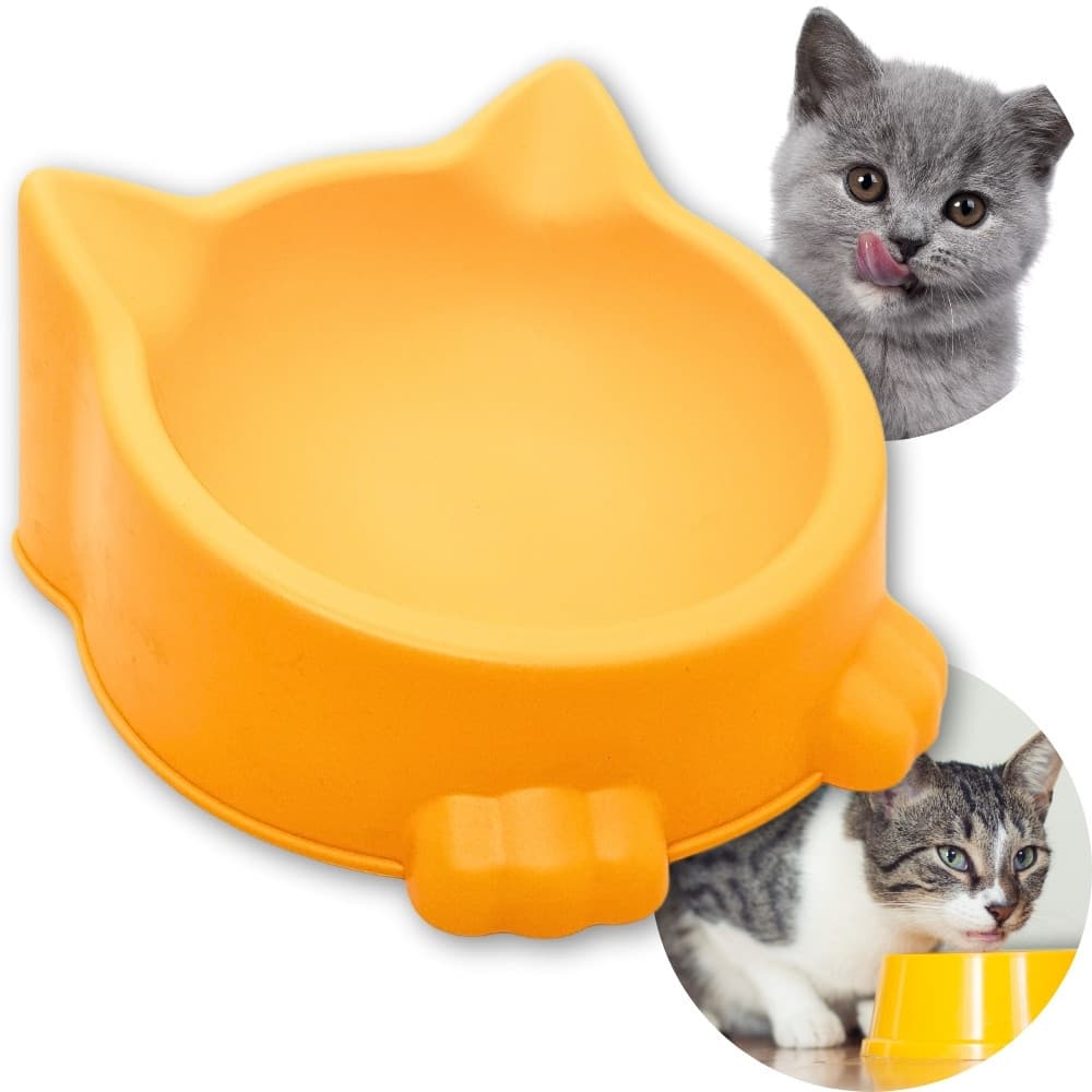 Comedouro Bebedouro para Gatos Pet Gatinho