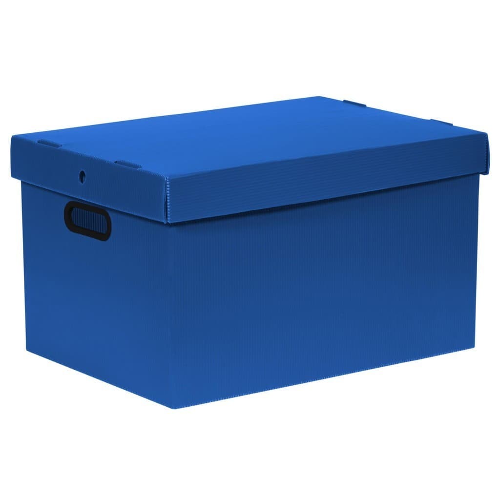 Kit 6 Caixas Organizadoras Prontobox Extra-grande 61 L Várias Cores