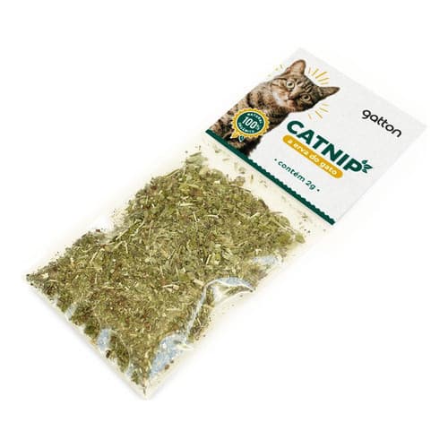 Catnip Orgânico - A Erva Do Gato