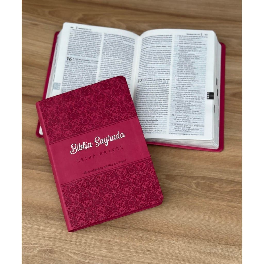 Bíblia Sagrada NTLH Rosa Pink - Letras Grandes Com Fácil entendimento