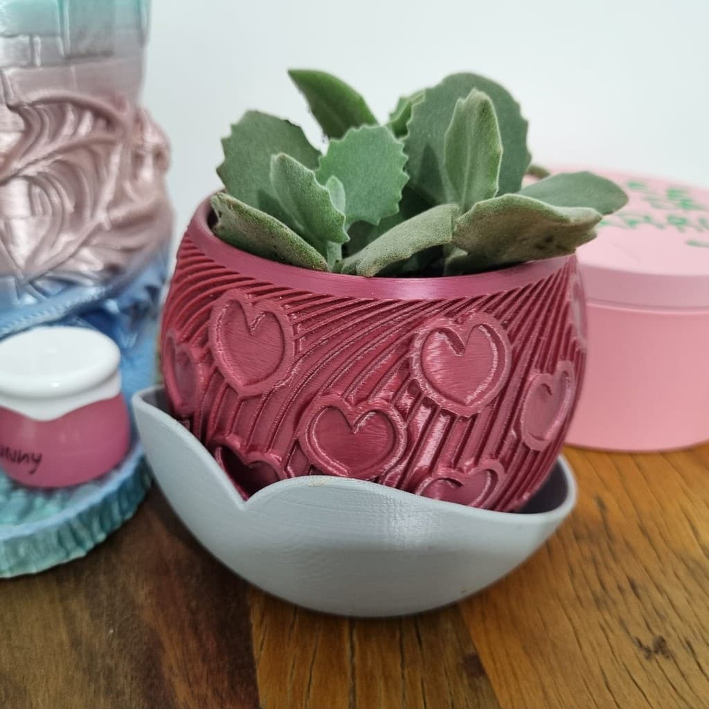 Vaso Suculenta Coração Cacto Flor Decorativo Presente Casa