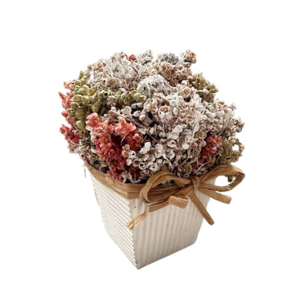 Cachepot com Flores Secas Rose