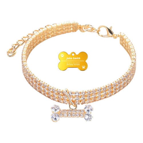 Coleira Gato Cachorro Placa Nome Tel Laser Strass Dourada