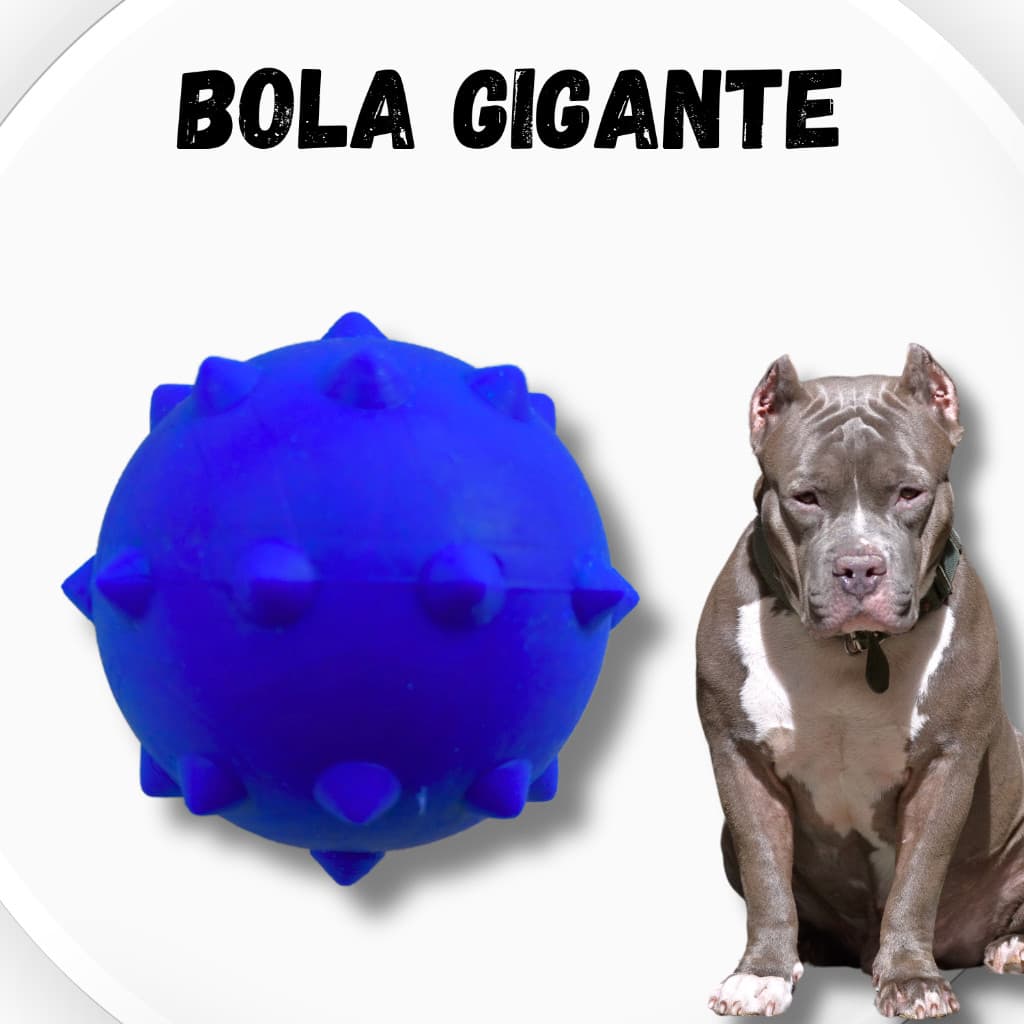 Bola Pet GIGANTE Maciça Brinquedo de Cachorro Bola Lisa Cachorro Cães Gatos