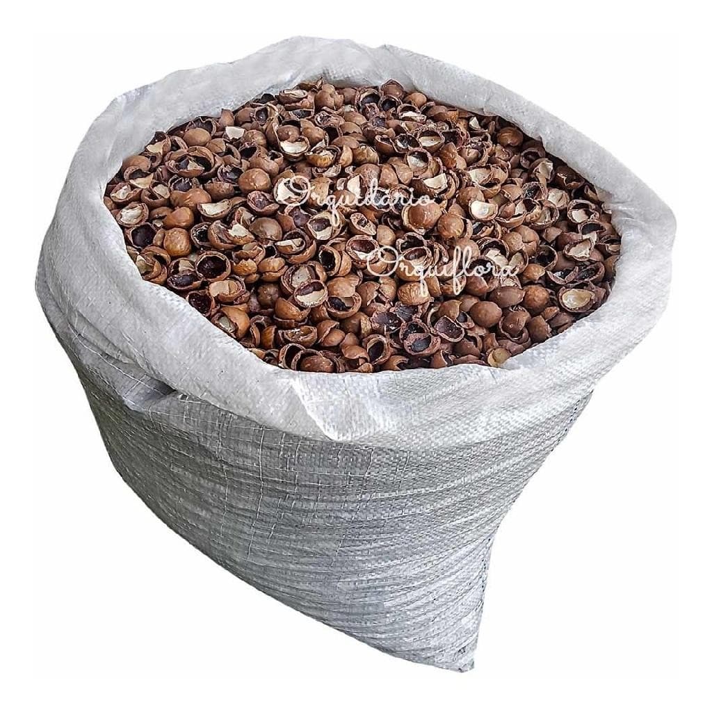 Substrato Casca Macadâmia Plantas E Orquídeas Saco 12 Kilos premium pronto uso alta durabilidade enraizamento facil