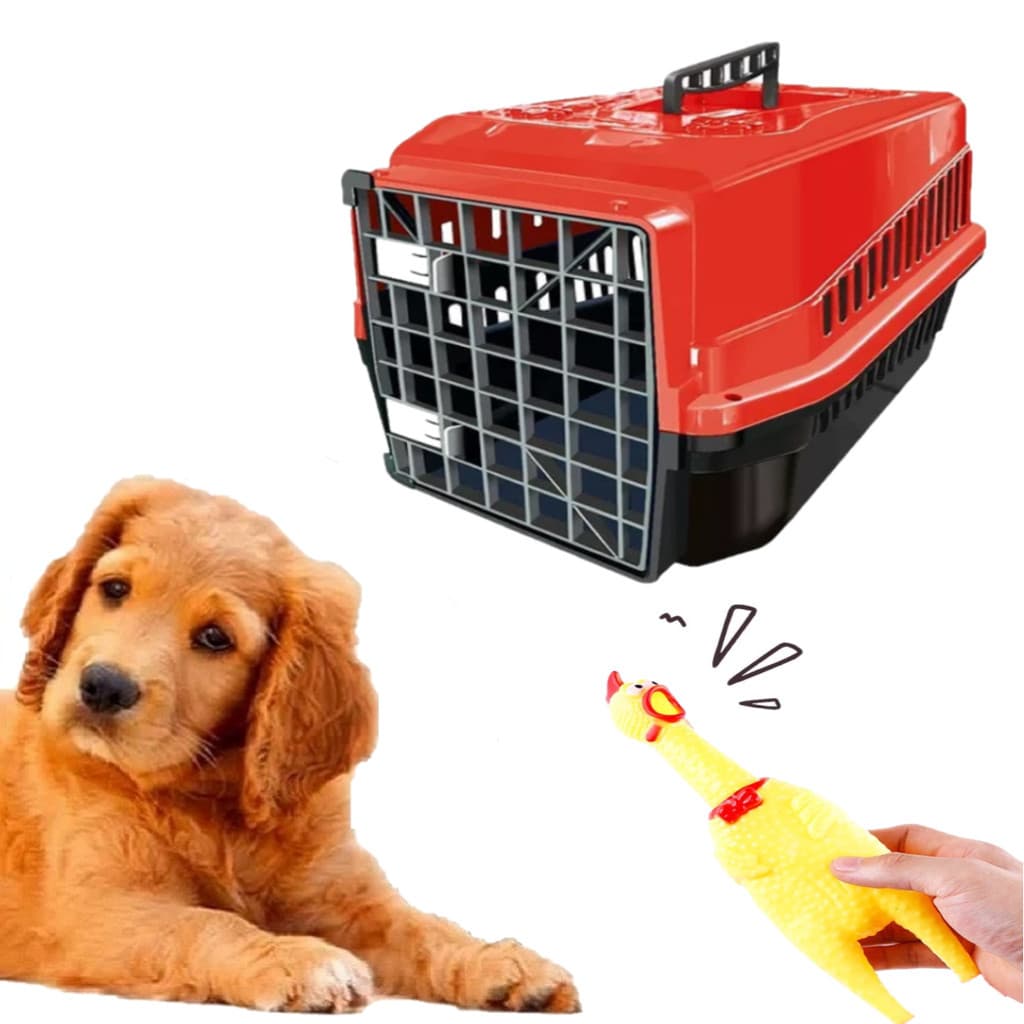 Caixa de Transporte Pet N4 E Mordedor Interativo Pet Galinha