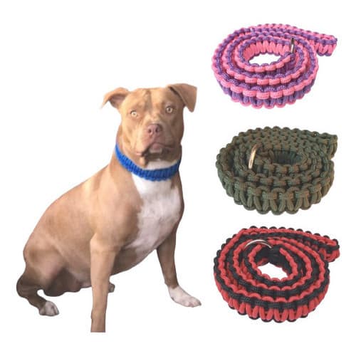 Guia Coleira Cachorro Enforcador Artesanal Pet Unificada Cachorro Grande Pitbull Golden Labrador Pit Monster American Bully Rottweiler Pastor Alemão