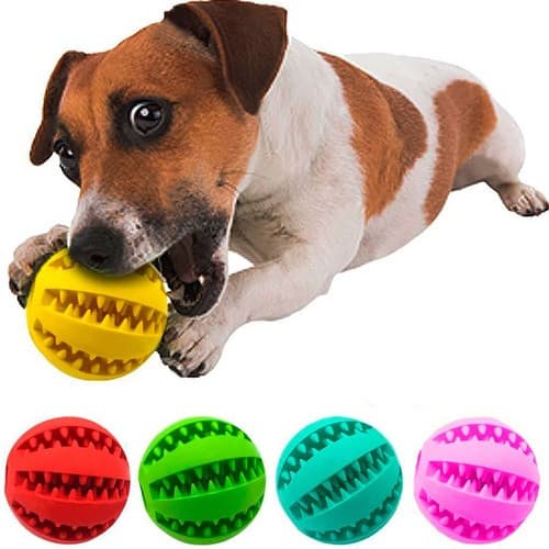 Bolinha Pet Brinquedo de cachorro Porta Petisco iterativa
