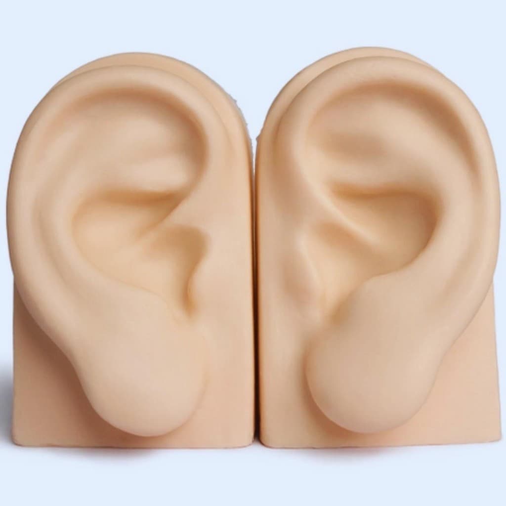Expositor de Silicone  par de Orelhas Cor Nude  Ultra Realista Modelo Treinar Perfuraçao