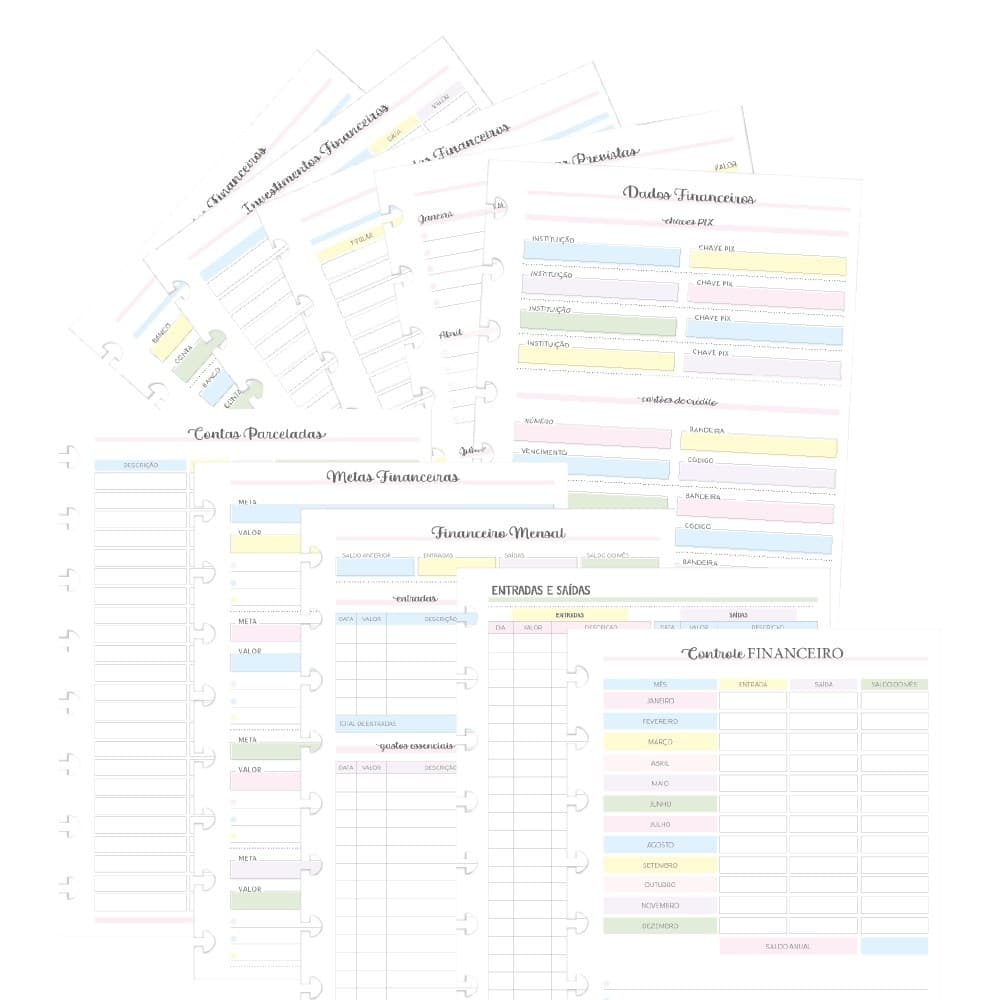 Refil para caderno de discos Controle Financeiro - A5