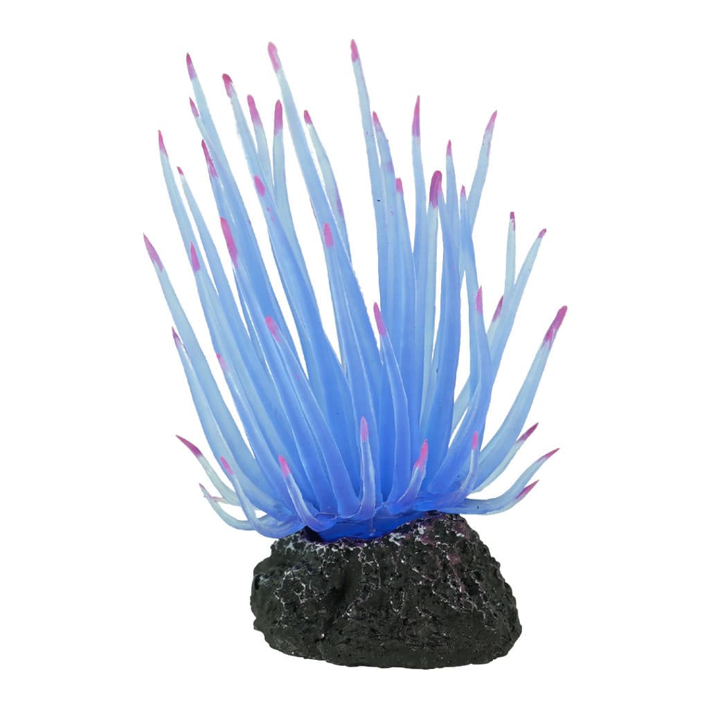 ENFEITE DE SILICONE SOMA ANEMONA LONG TENTACLE AZUL