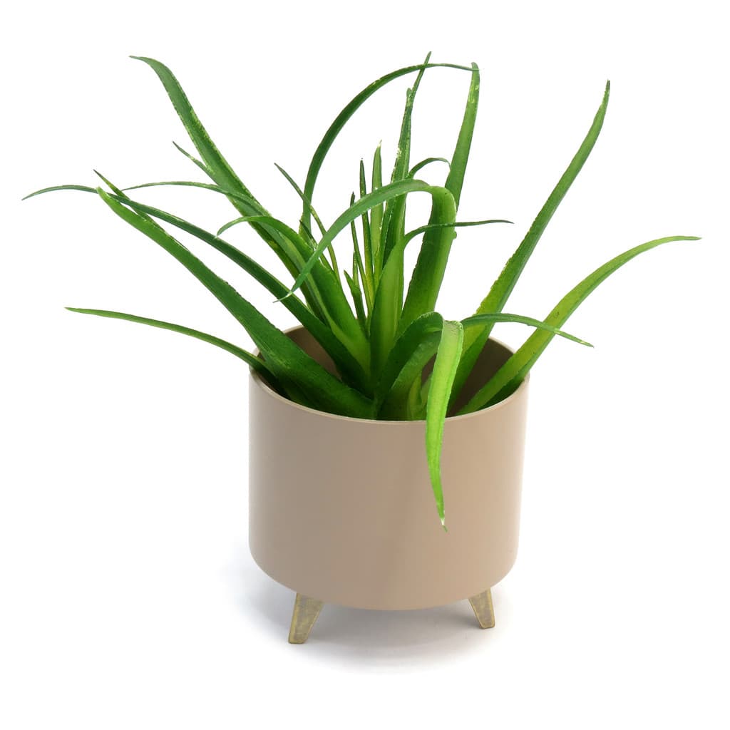Mini Cachepot Para Suculentas Enfeite Decorativo - Nude