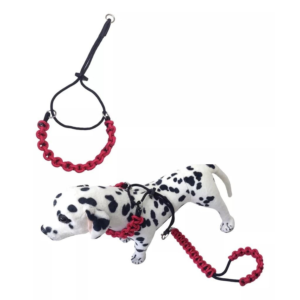 Coleira Belga Em Corda 6mm (estilo Prong Collar)+ Guia