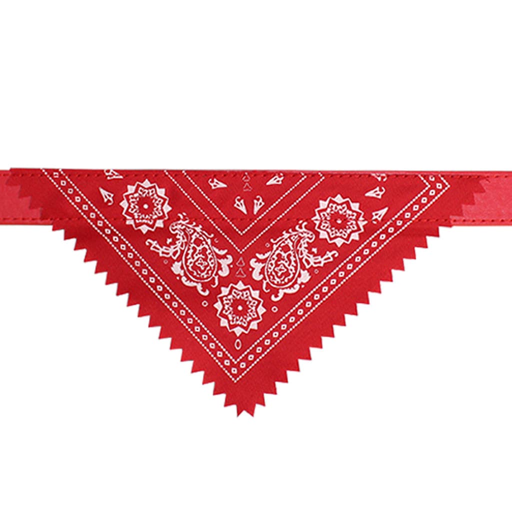 Coleira Pra Cães e Gatos Com Guizo Bandana Para Cachorro e Gato Pets