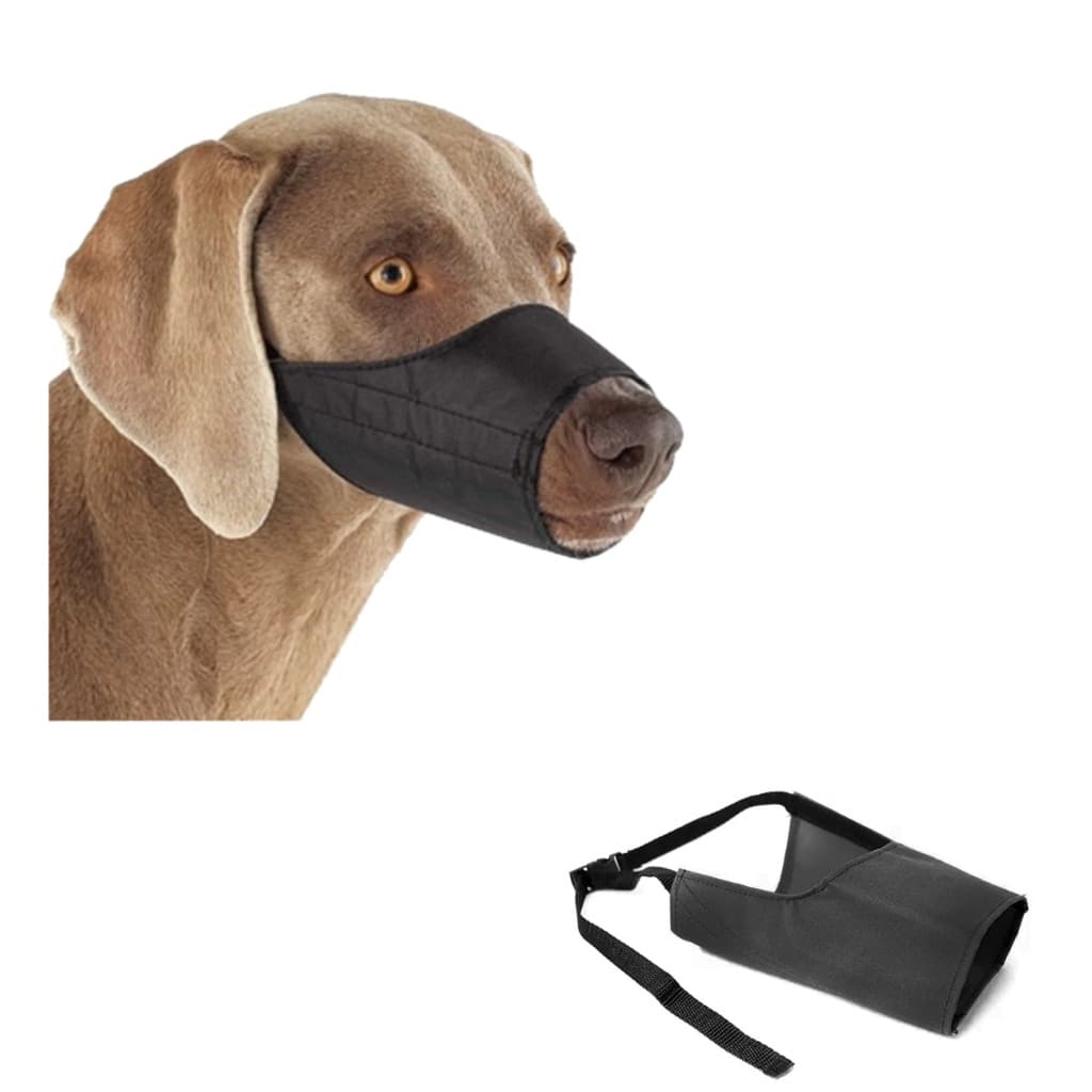 Focinheira De Nylon Cachorro Cão Com Fecho Nº 6 Passeio Pós Cirurgia