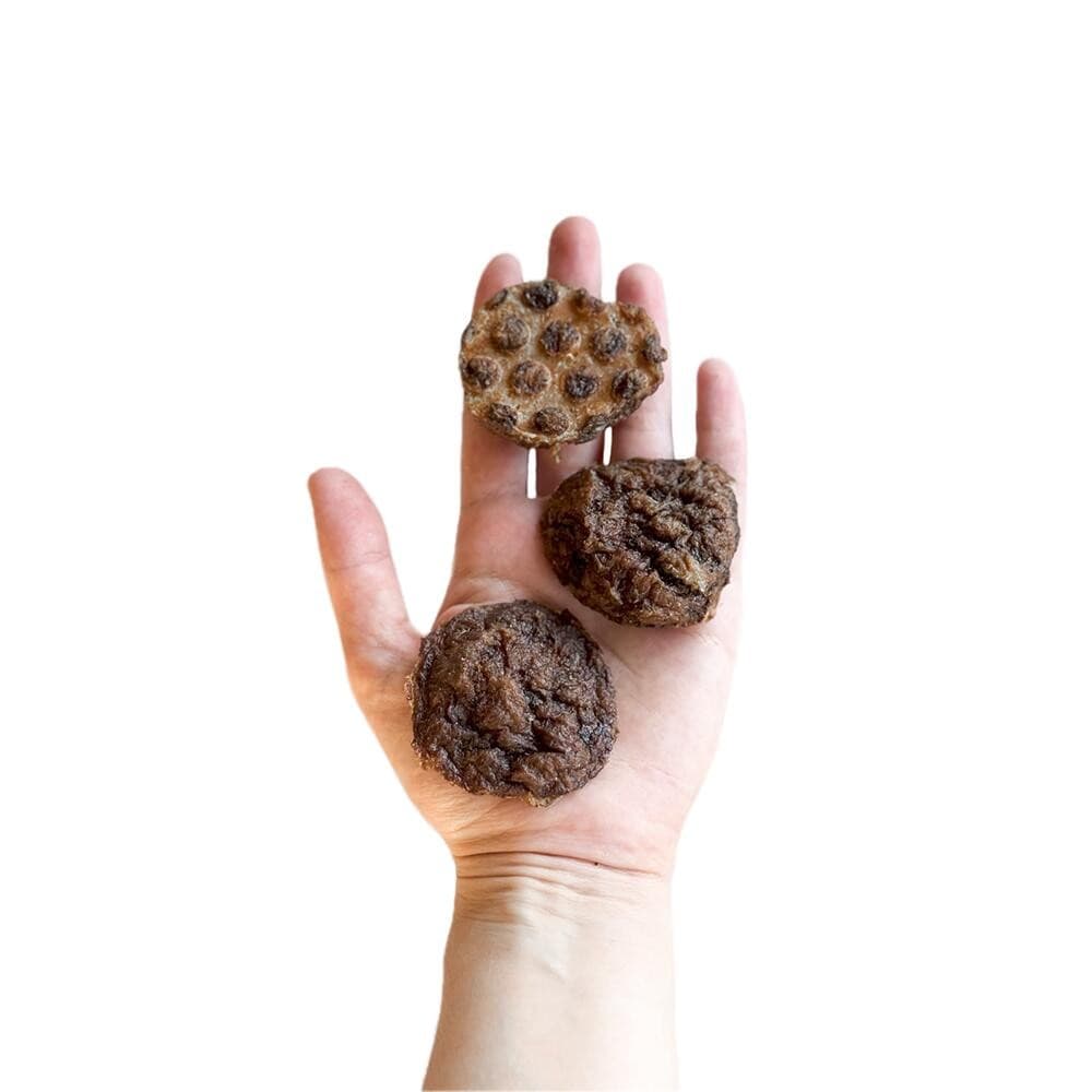 Cookie de Pato Petisco Natural para Cães e Gatos 100gr - Luv