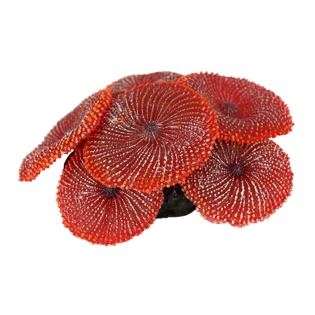 ENFEITE DE SILICONE SOMA CORAL RICORDEA VERMELHA 02