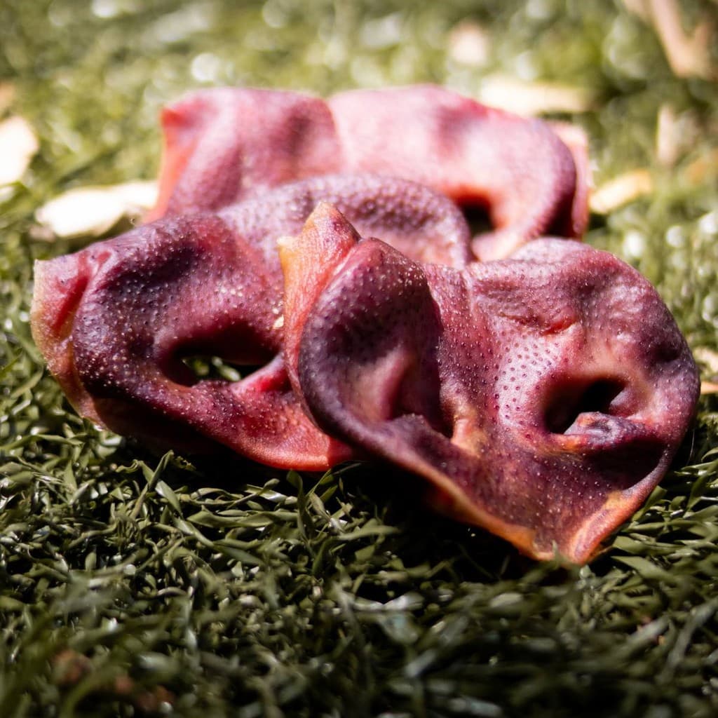 Petisco Para Cães Mordedor Natural Da Luv Focinho Suino 150g