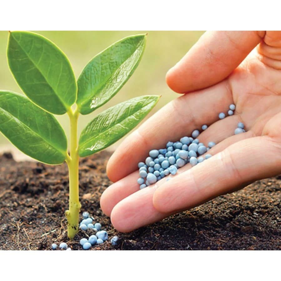 Super Fosfato Simples (Super Simples) NPK 00 18 00 Hortas Plantas Flores Frutos Rosas