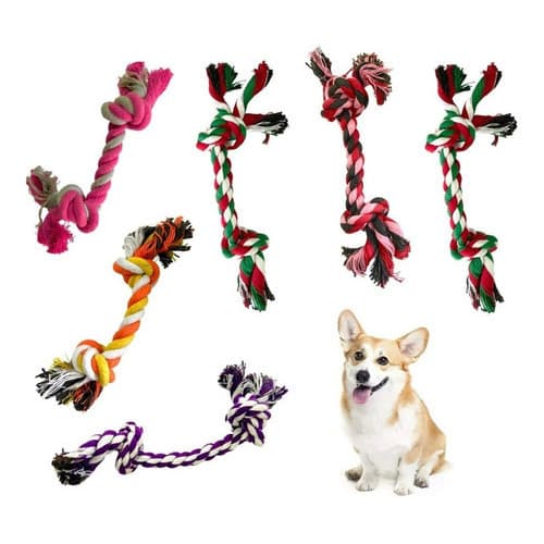 Kit Mordedores Corda Dental Resistente Brinquedos para Cachorros 6 Unidades Mordedor para cães Pets