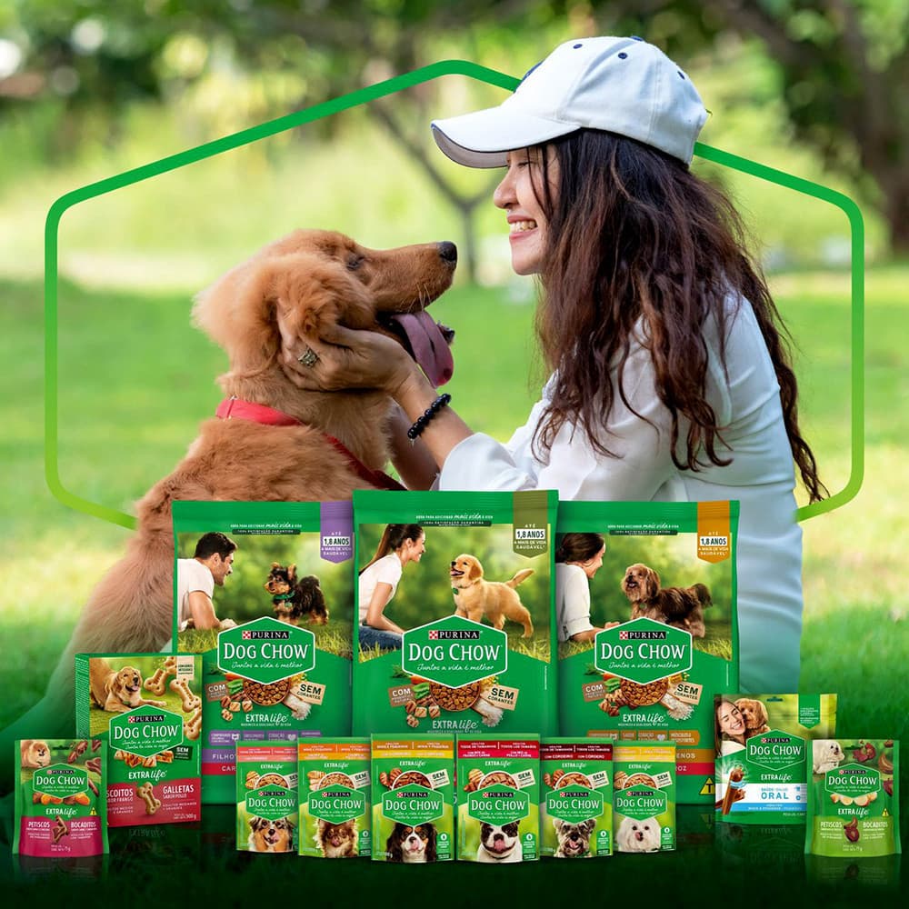 Ração Úmida Nestlé Purina Dog Chow Sachê Carne para Cães Filhotes de Todos os Tamanhos - 100Gr