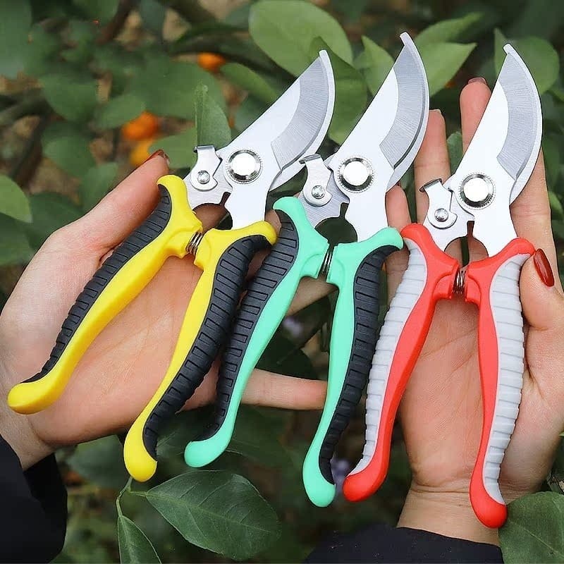 Tesoura de Poda Tesoura Super Afiada para Jardinage