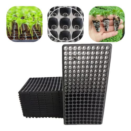 Kit 50 Bandejas Cultivo De Mudas Frutas Verduras e Chas Alface Morango Sementeira S/aba 200 Células
