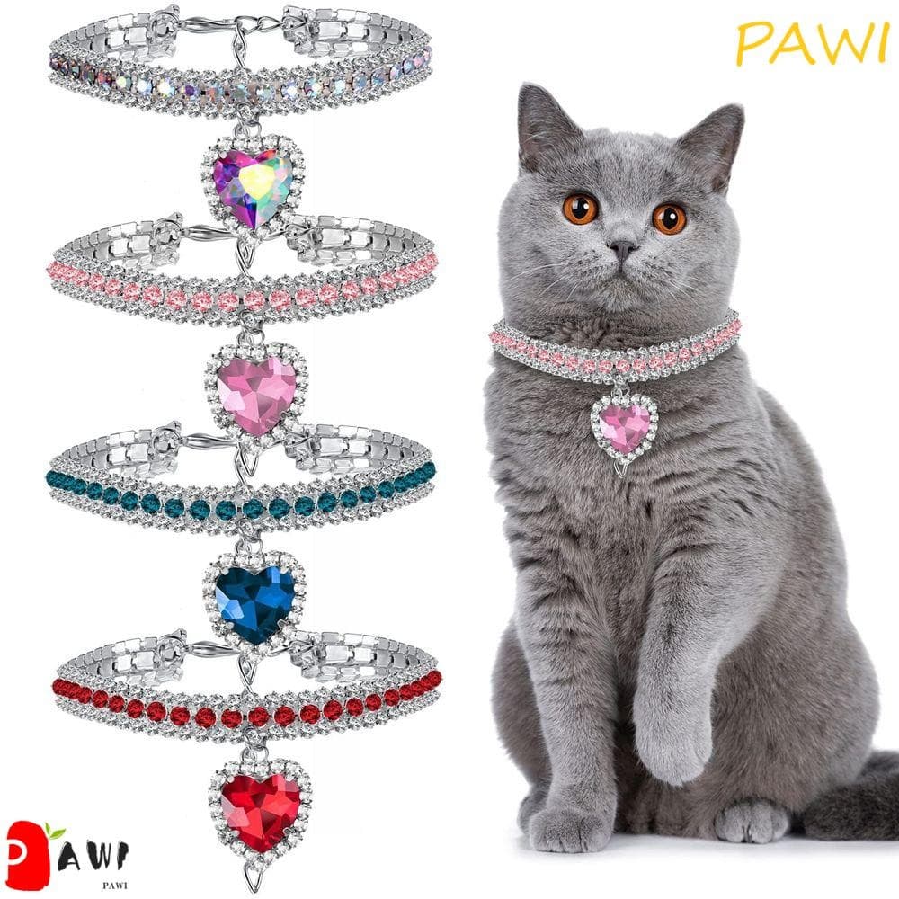 Coleira De Gato PAWI Acessório Para Cachorro E Buldogue Francês Strass Animais De Estimação Corrente Ajustável